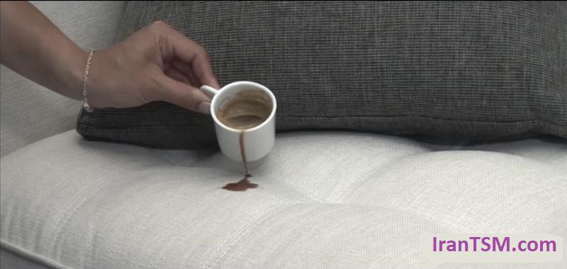 remove-coffee-tea-on-sofa-