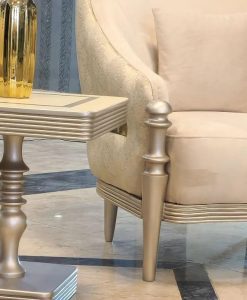آقای مبل شهرکرد (5)