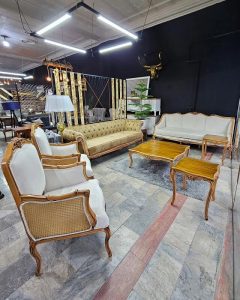 آقای مبل هشتگرد (5)