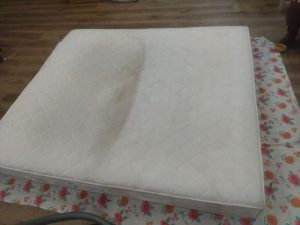 مبل شویی محرمی زارع (2)