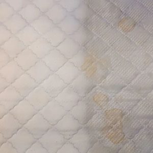 مبل شویی دادا کرج4