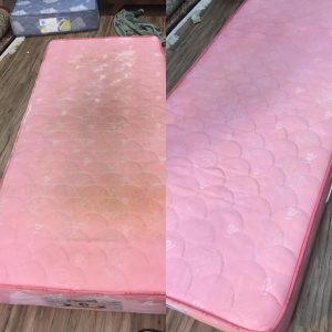 مبل شویی مبل واش بندرعباس7