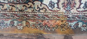 قبل از قالیشویی ارم مشهد (4)