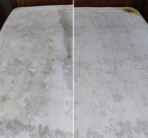 مبل شویی کرمی رفسنجان (1)