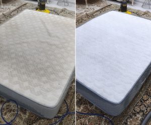 شستشوی تشک خوشخواب گل رز اردبیل (1)