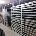 قالیشویی و مبل شویی قدیری ساری (4)