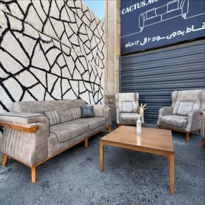 مبل فروشی کاکتوس شیراز (6)