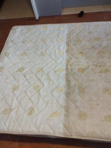 مبل شویی آنا صدارا