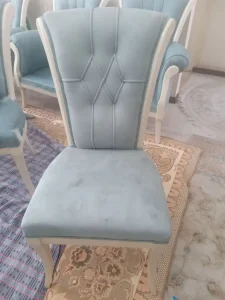 مبل شویی افق ممتاز کرج (1)