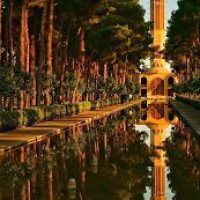 آقای مبل یزد